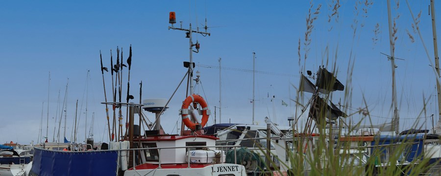 Billedet viser fiskekuttere, som stadig holder til i Ålbæk Havn - det er så hyggeligt