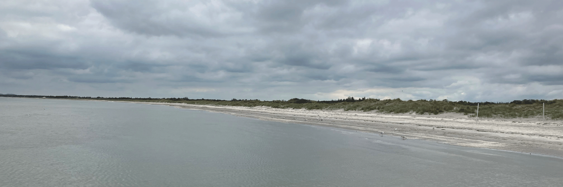 Standen syd for Ålbæk Havn en forårsdag i maj