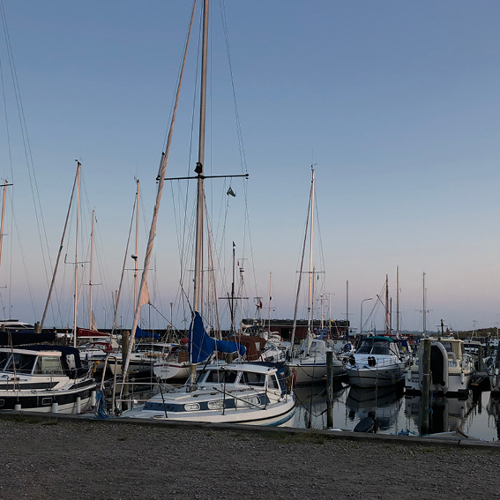 Stemningsbillede en aften på Ålbæk Havn