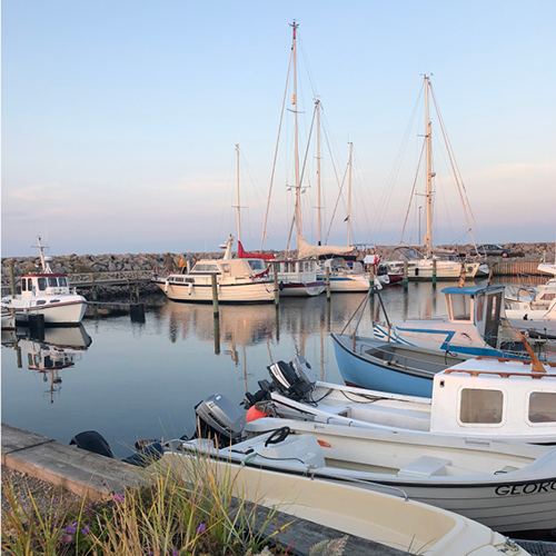 Flere små både og sejlbåde ligger fortøjet i Ålbæk Havn omgivet af en stenmole, set i blødt aftenlys