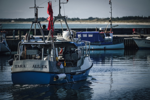 Båd ankommer til Ålbæk Havn