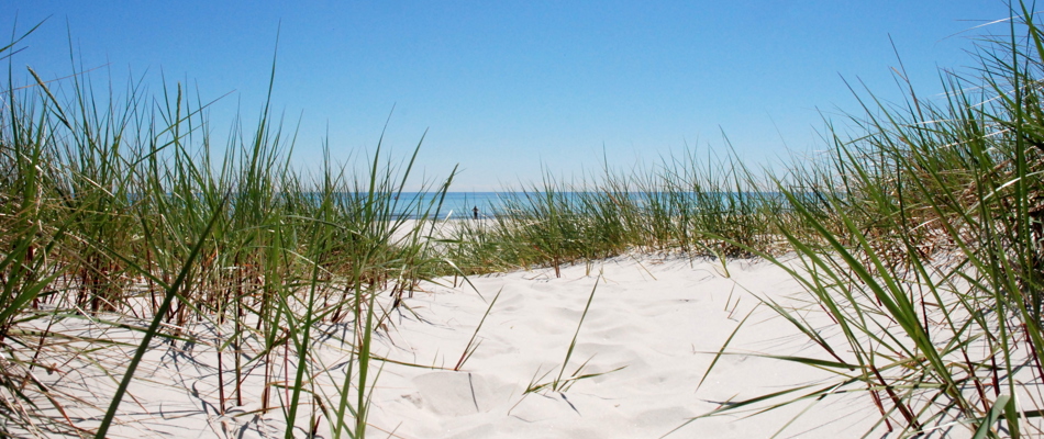 Siv som er på stranden