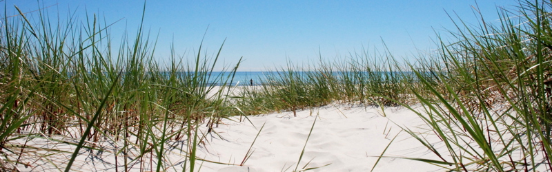 Siv som er på stranden