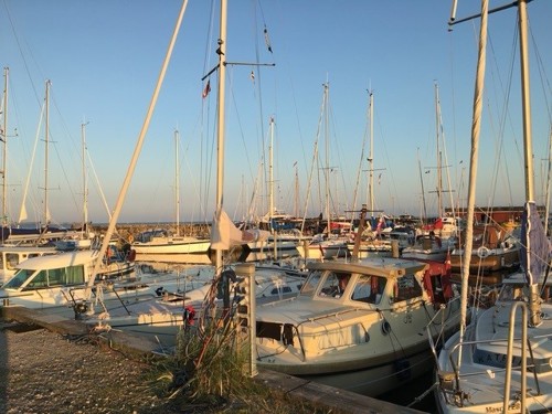 En havn fyldt af skibe på en sommerdag