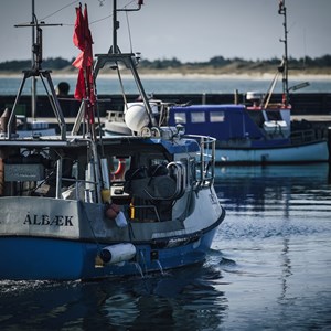 Båd ankommer til Ålbæk Havn