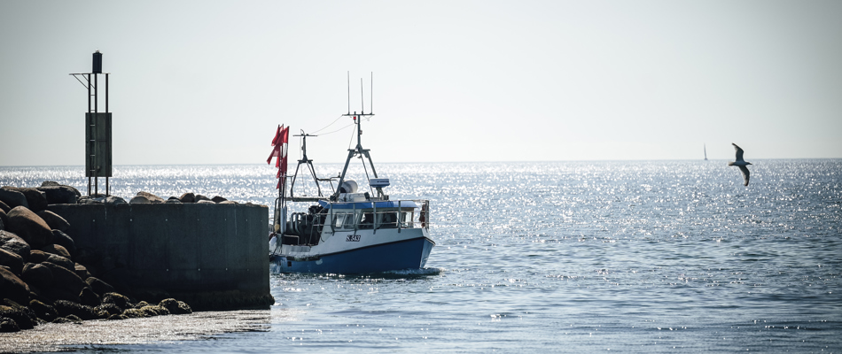 Båd ankommer ti Ålbæk