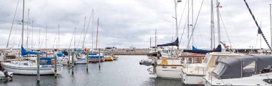Billedet af mange både i Ålbæk Havn